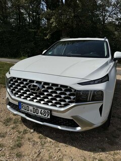Bild des Angebotes Hyundai SANTA FE 2.2 CRDi 2WD Trend