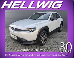 Bild des Angebotes Mazda MX-30 e-SKYACTIV EV Advantage Matrix-LED Navi