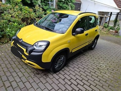 Bild des Angebotes Fiat Panda Panda 1.2 Start