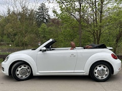 VW New Beetle