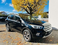 Bild des Angebotes Ford Kuga Trend