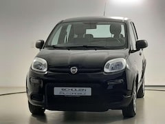 Bild des Angebotes Fiat Panda 4x4*Klima*Radio-CD*Alu*1. Hand*