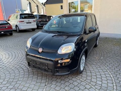 Bild des Angebotes Fiat Panda Tech Paket Klima Multifunktionslenkrad