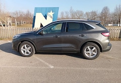 Bild des Angebotes Ford Kuga 2,0 EcoBlue Hybrid Titanium