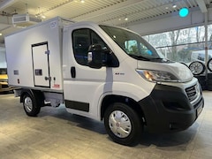 Bild des Angebotes Fiat Ducato 2,3 Kühlkoffer Thermoking V300 Max -30C.