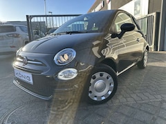 Bild des Angebotes Fiat 500 Basis