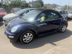 Bild des Angebotes VW New Beetle 1.4 Highline