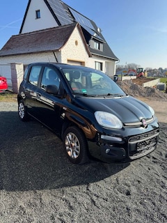 Bild des Angebotes Fiat Panda Panda/Pandina 1.2 My