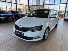 Bild des Angebotes Skoda Fabia Joy Automatik