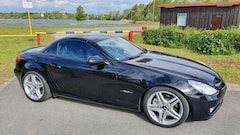 Bild des Angebotes Mercedes-Benz SLK 350 SLK-Klasse Roadster Sport Edition