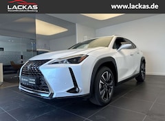Bild des Angebotes Lexus UX 250h Style*Facelift*ALLWETTER*W-CARPLAY*15J*