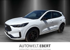 Bild des Angebotes Ford Kuga ST-Line X Black Pak. LED Matrix AHK Winter