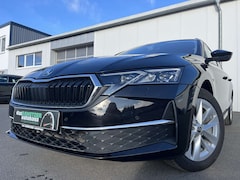 Bild des Angebotes Skoda Octavia Combi 2.0 TDI DSG Selection 188€ m. 20% Anzahlun