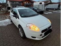 Bild des Angebotes Fiat Punto Evo Punto 1.2 8V Active Start