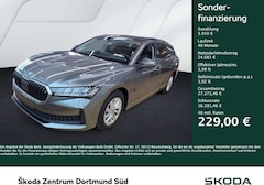 Skoda Octavia 2.0 TOUR CAM ACC E-KLAPPE NAVI LM17 LED