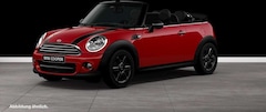 Bild des Angebotes MINI Cooper Cabrio Cooper Cabrio Chili Xenon BT Klimaaut. Shz