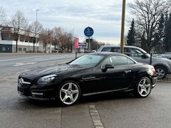 Bild des Angebotes Mercedes-Benz SLK 250 SLK 250 BlueEfficiency (172.447)