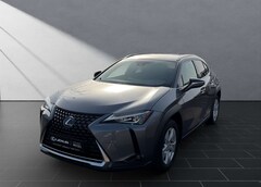 Bild des Angebotes Lexus UX 250h 250 h*KAMERA*