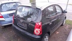 Bild des Angebotes Kia Picanto Klima,eFh,Zv,Servo,Alu,Tuev  NEU,1 Jahr Garantie