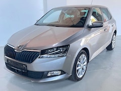 Bild des Angebotes Skoda Fabia Soleil 1.0 *Automatik*