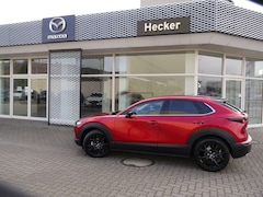 Bild des Angebotes Mazda CX-30 e-SKYACTIVE G 122 EXCLUSIVE-LINE PREIS HAMMER
