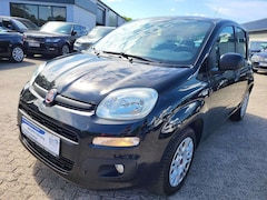Bild des Angebotes Fiat Panda Panda 1.2 Easy