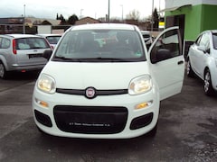 Bild des Angebotes Fiat Panda Pop