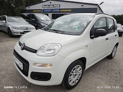 Bild des Angebotes Fiat Panda 1.2 Pop