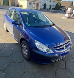Bild des Angebotes Peugeot 307 Grande Filou Cool