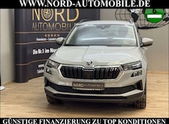 Bild des Angebotes Skoda Karoq Style 2.0 TDI DSG Virt.Cockpit/AHK/Navi/18 Style