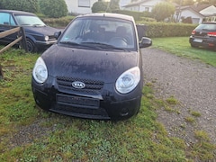 Bild des Angebotes Kia Picanto Picanto 1.1 EX