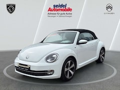 Bild des Angebotes VW Beetle 1.2 TSI BMT ALLSTAR + Cabriolet, 1.Hand