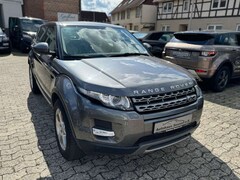 Bild des Angebotes Land Rover Range Rover Evoque Pure Technik*Leder*Navi*Xenon