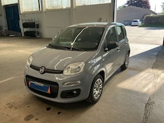 Bild des Angebotes Fiat Panda 1.2 Start