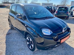 Bild des Angebotes Fiat Panda 1.0 Hybrid City Plus KLIMA ISOFIX RADIO