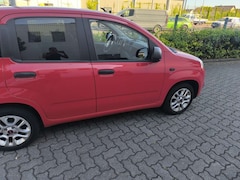 Bild des Angebotes Fiat Panda 1.2 More