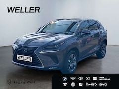 Bild des Angebotes Lexus NX 300h E-FOUR Business Edition *LED*Pano*CAM*SHZ*
