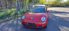 Bild des Angebotes VW New Beetle Cabriolet 1.4 - Leder & Sitzheizung - TÜV NEU