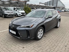 Bild des Angebotes Lexus UX 300h F SPORT Design *Navi*LED*CarPlay*CAM*TWA*