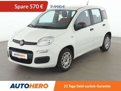 Bild des Angebotes Fiat Panda 1.2 Easy *KLIMA*