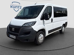 Bild des Angebotes Fiat Ducato Luxusbus Panorama L1H1 8+SitzerCarplay
