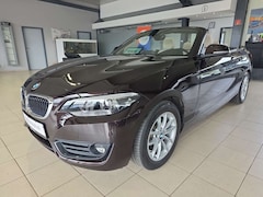 Bild des Angebotes BMW 220 i Cabrio Advantage 1.Hand Leder Kamera LED
