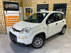 Bild des Angebotes Fiat Panda Base/KLIMA/4-TÜRER/DAB/ALLWETTER