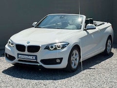 Bild des Angebotes BMW 218 i 2 Cabrio Autom. SPORT LEDER LED KEYLESS