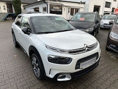 Bild des Angebotes Citroen C4 Cactus 1,2  PT 110 S&S Shine Automatik 55TKM