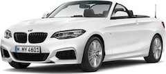 Bild des Angebotes BMW 218 i Cabrio M Sport Navi Business Klimaaut. PDC