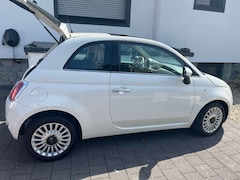 Bild des Angebotes Fiat 500 500 0.9 TwinAir Start