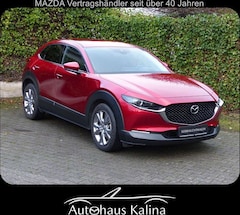 Bild des Angebotes Mazda CX-30 SKYACTIV-G 122PS SELECTION + Design-Paket