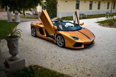Bild des Angebotes Lamborghini Aventador Roadster/Ad Personam Int.+Ext.