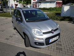 Bild des Angebotes Fiat Panda Panda/Pandina 1.2